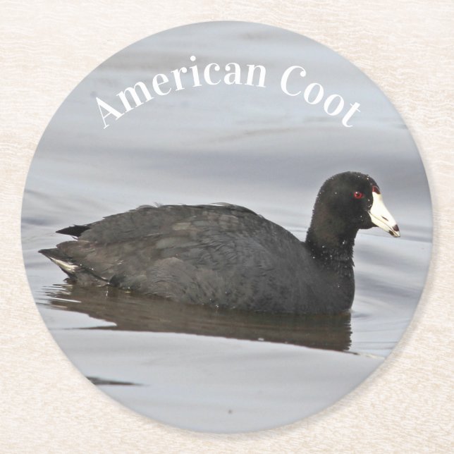 Dessous De Verre Rond Coot américain (Devant)