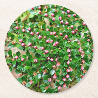 Dessous De Verre Rond Cotonou horizontalis