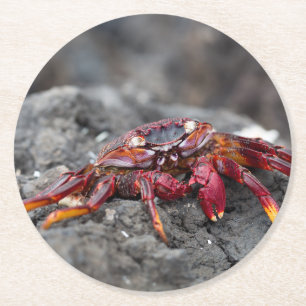 Dessous De Verre Rond Crabe rouge