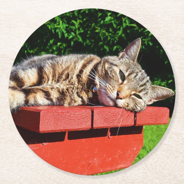 Dessous De Verre Rond Dessous de verre de chat tigré (Devant)