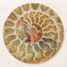Dessous de verre de fossile d'ammonite
