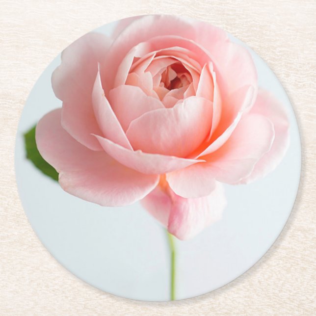 Dessous De Verre Rond Dessous de verre en papier rose (Devant)