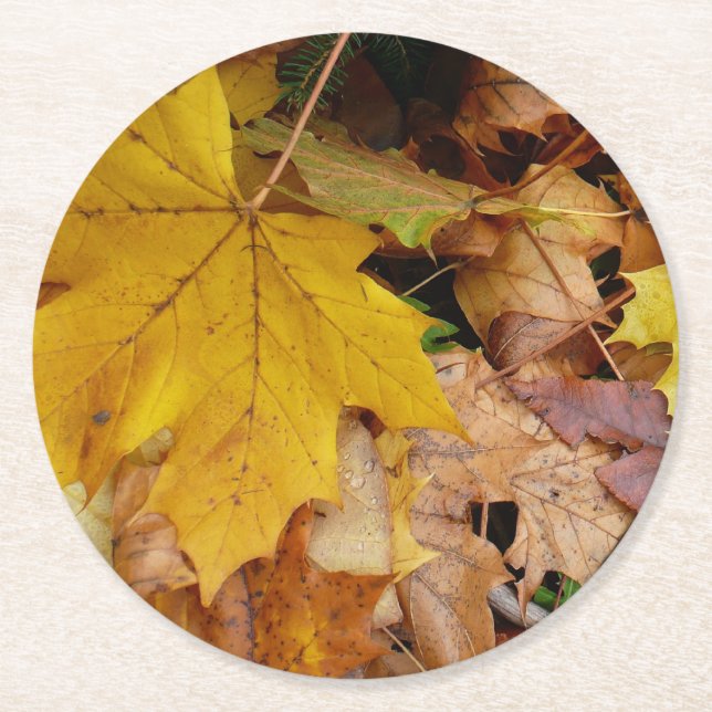 Dessous De Verre Rond Fallen Maple Feuille Jaune Automne Nature (Devant)