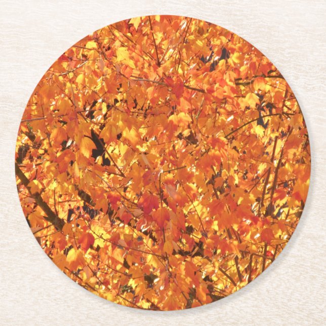Dessous De Verre Rond Feuilles d'automne sur arbre - photo. (Devant)