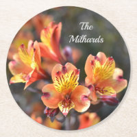 Fleurs de Lys péruviennes au Monogramme du jardin