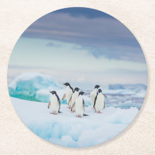 Dessous De Verre Rond Glace et neige   Adelie Penguins Antarctique