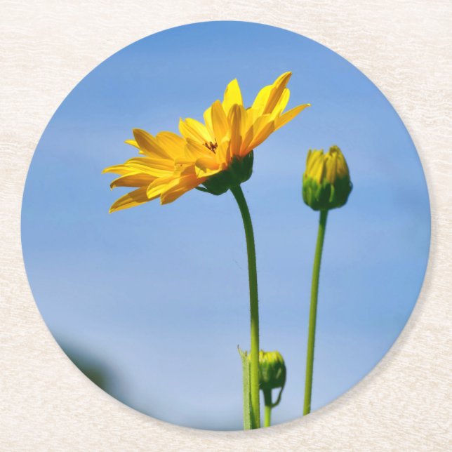 Dessous De Verre Rond Hélénium de marguerite jaune (Devant)