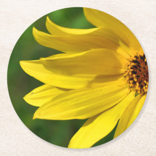 Dessous De Verre Rond Hélénium de marguerite jaune