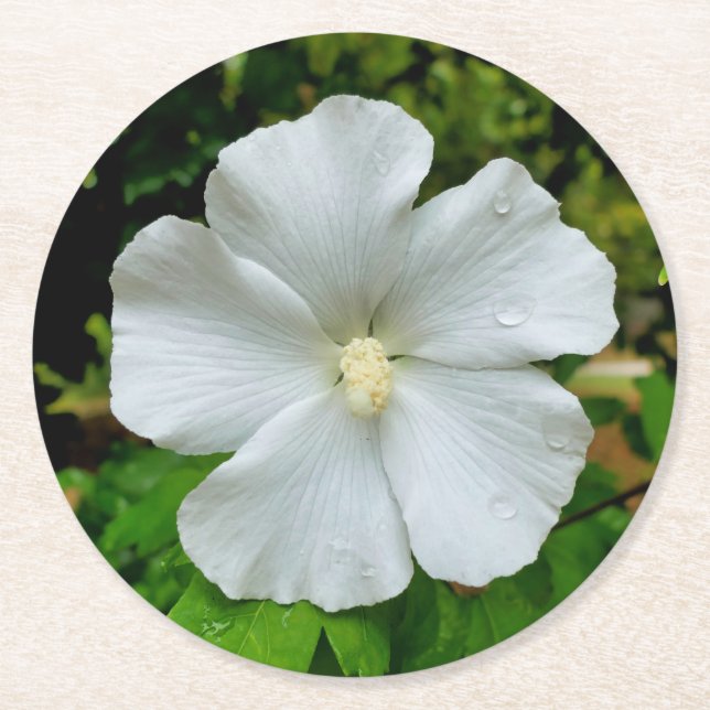 Dessous De Verre Rond Hibiscus (Devant)