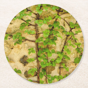 Dessous De Verre Rond Hydrangea petiolaris