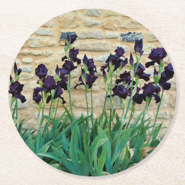 Dessous De Verre Rond Iris à poils (Devant)