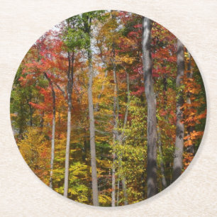 Dessous De Verre Rond L'automne dans la forêt Photographie d'automne col