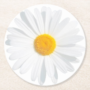 Dessous De Verre Rond marguerite blanche