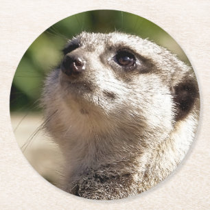 DESSOUS DE VERRE ROND MEERKAT