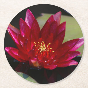 Dessous De Verre Rond Nénuphar Lotus Magenta