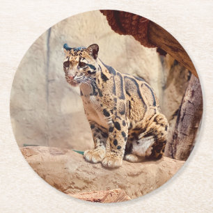 Dessous De Verre Rond photo de léopard nuageux nature faune exotique