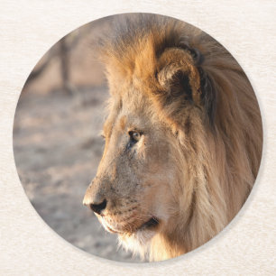 Dessous De Verre Rond Portrait de Lion