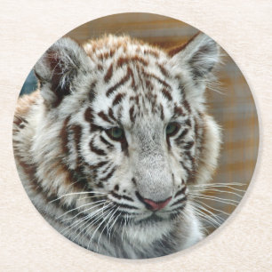 Dessous De Verre Rond Tiger20151001