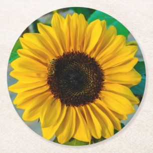Dessous De Verre Rond Tournesol avec abeille