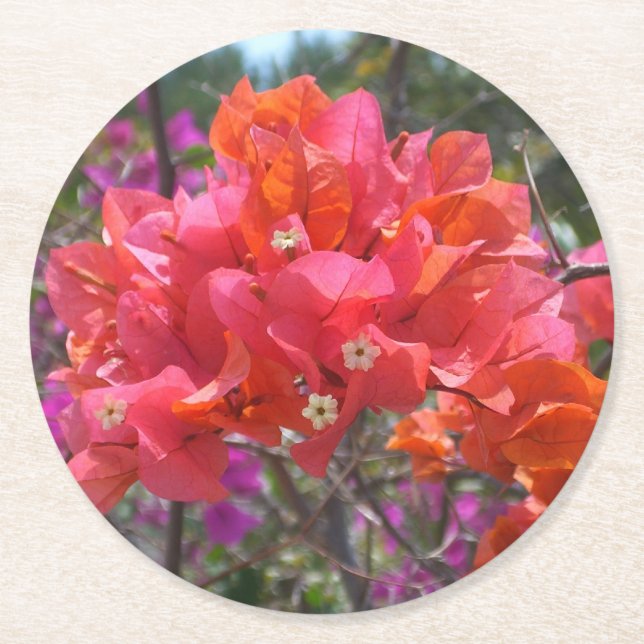 Dessous De Verre Rond Tropical Pink Bougainvillea Island Floral (Devant)