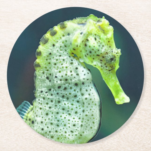 Dessous De Verre Rond Un bel hippocampe de Knysna (Devant)