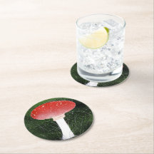 Un champignon de champignons