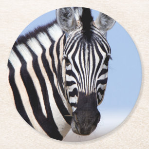 Dessous De Verre Rond Zebra looking at you