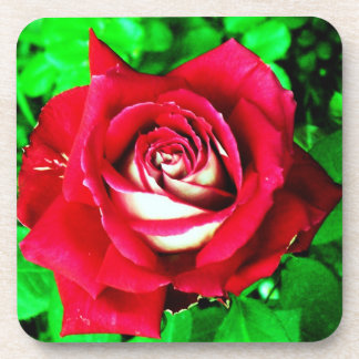 Dessous-de-verre Rose