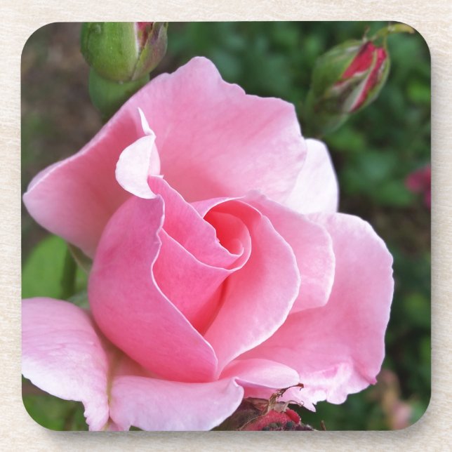 Dessous-de-verre rose (Devant)