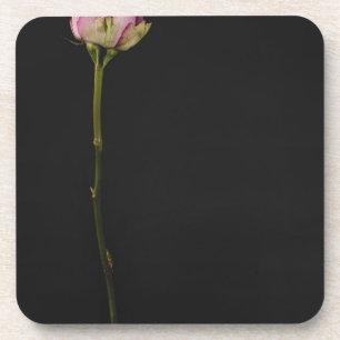 Dessous-de-verre Rose 3 de rose
