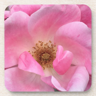 Dessous-de-verre Rose rose rose