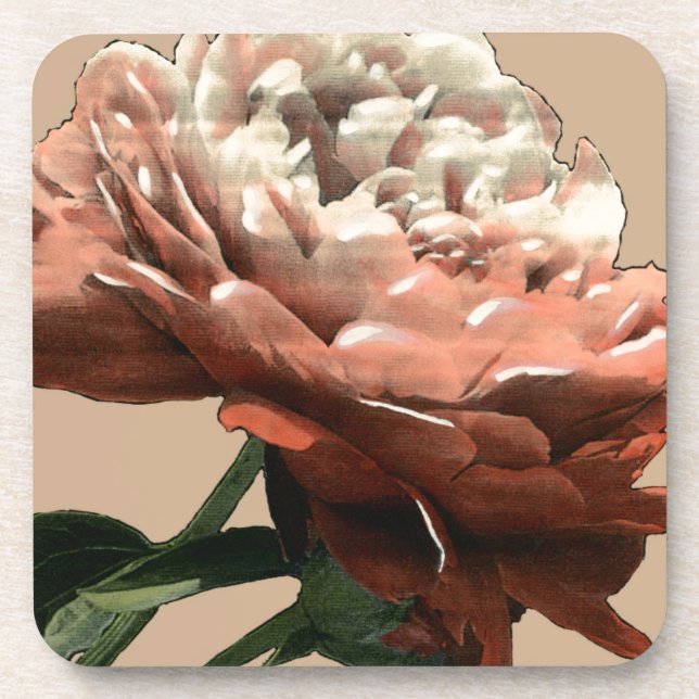 Dessous-de-verre Rose rouge rubis aux accents blancs (Devant)