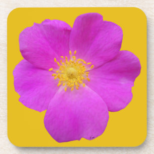 Dessous-de-verre Rose sauvage 2