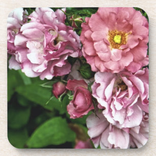 Dessous de verre roses d'antiquité
