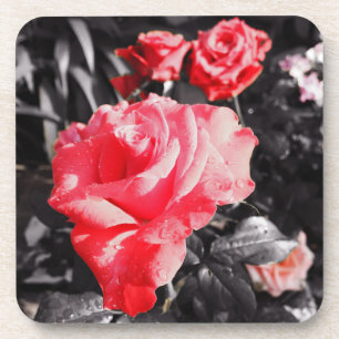 Dessous-de-verre Roses rouges romantiques