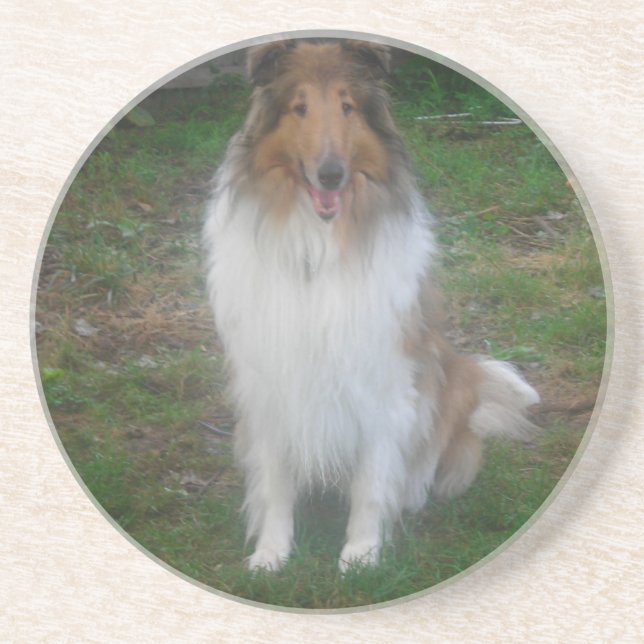 Dessous de verre Rough Sable Collie (Devant)