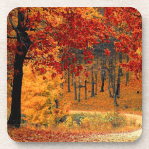 Dessous-de-verre Route d'automne