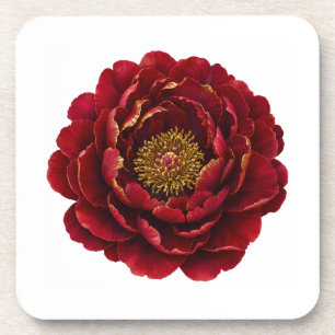 Dessous-de-verre Royal Persian Gold Filigree   Botanique Luxe 