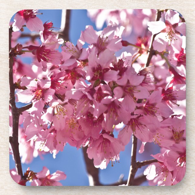 Dessous-de-verre Sakura Cherry Blossoms Red Stars (Devant)