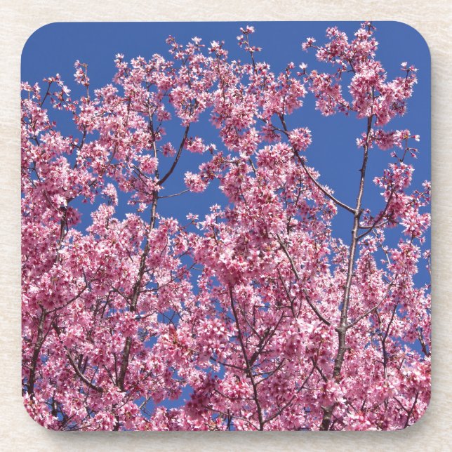 Dessous-de-verre Sakura Cherry Fleurit Dans Le Bleu (Devant)