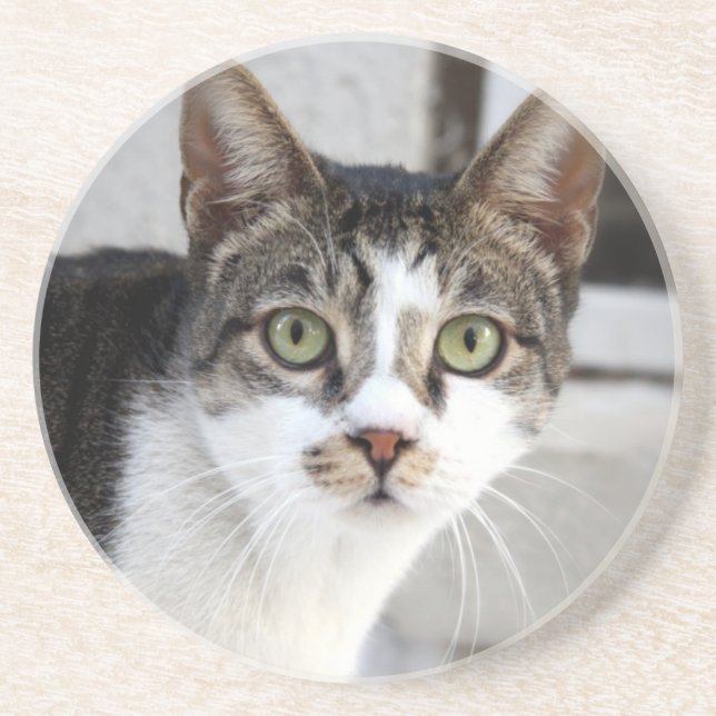 Dessous de verre Sandstone Cat (Devant)