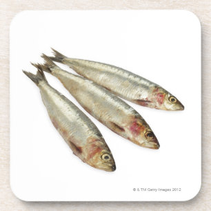 Dessous-de-verre Sardines (pilchards)