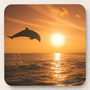 Dessous-de-verre Sauter de dauphin de Bottlenose