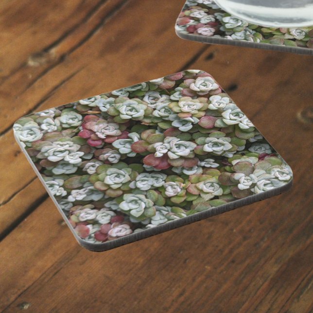 Dessous-de-verre Sedum Spathulifolium Succulents Floral (In Situ)