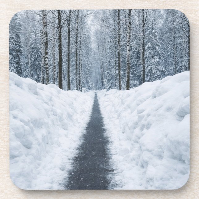 Dessous-de-verre Sentier forestier brumeux en hiver Paysage d'hiver (Devant)