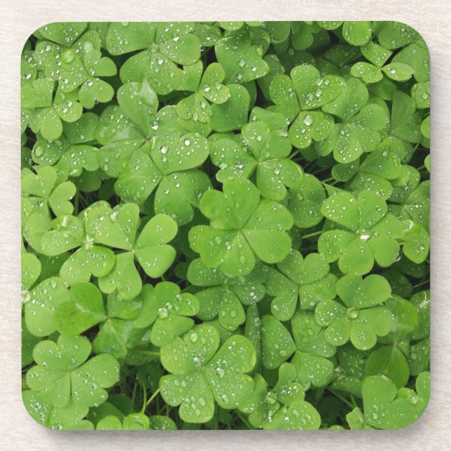 Dessous-de-verre Shamrock vert frais, coussin St. Patricks chanceux (Devant)