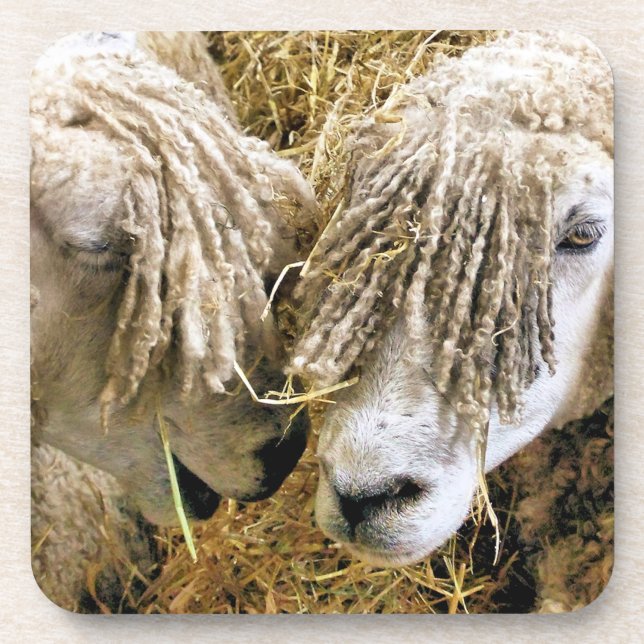 DESSOUS-DE-VERRE SHEEP (Devant)