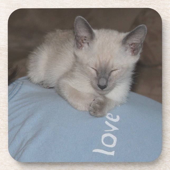 Dessous de verre siamois de chaton (Devant)
