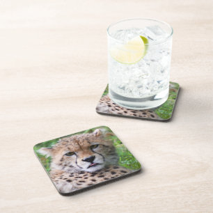 Dessous-de-verre Silencieux Carré Cheetah Cub