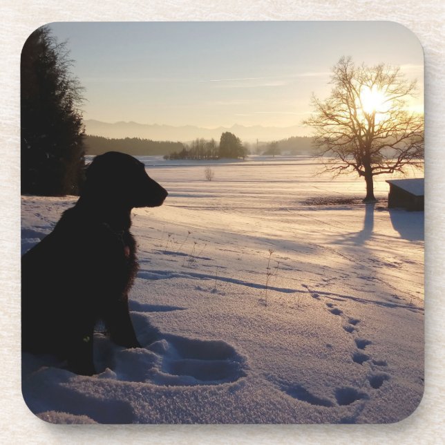 Dessous-de-verre Silhouette de chien dans le paysage neigeux (Devant)